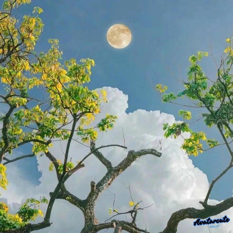 Album hình ảnh avatar bầu trời yên ả