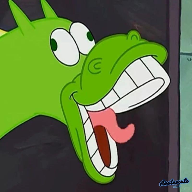 Ảnh profile avatar bựa độc đáo