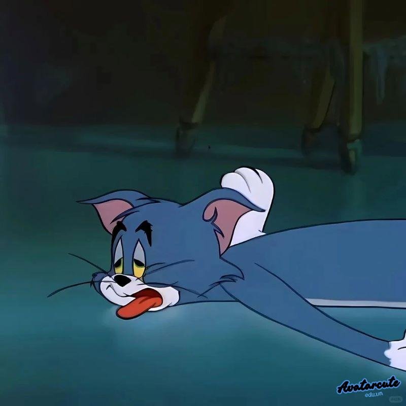 Bộ sưu tập hình avatar bựa độc