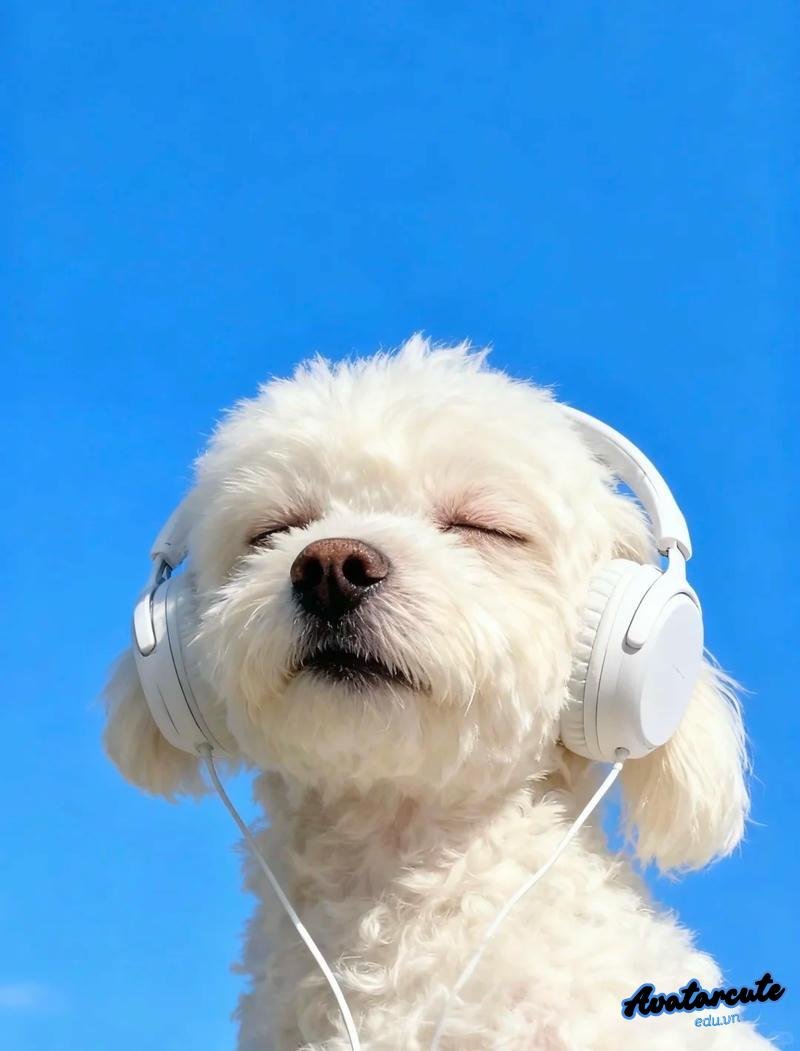 Ngắm hình avatar âm nhạc độc lạ