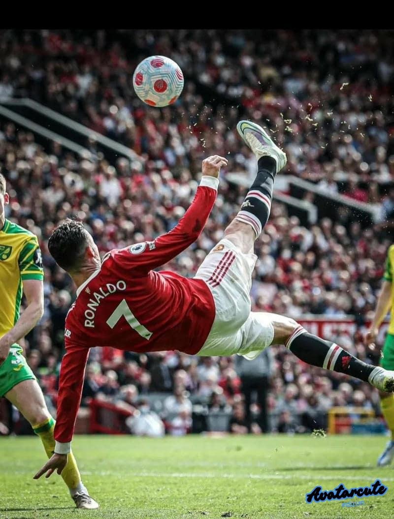 Tải ảnh avatar bóng đá chất lượng