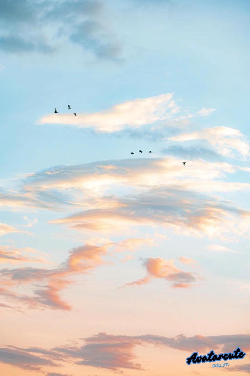 Tải hình avatar bầu trời lãng mạn