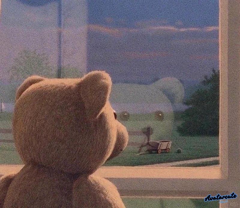 Album hình avatar gấu sáng tạo