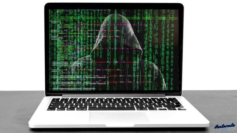 Album hình avatar hack cuốn hút