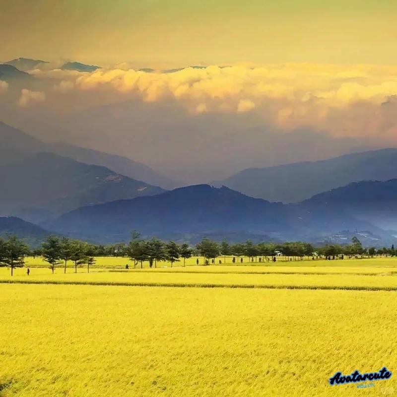 Ảnh avatar cảnh đẹp