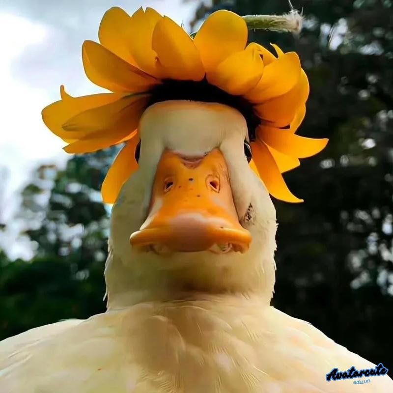 Ảnh avatar độc lạ phong cách riêng