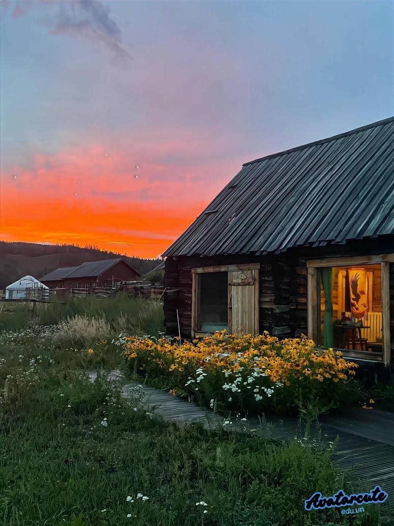 Ảnh mạng avatar cảnh đẹp