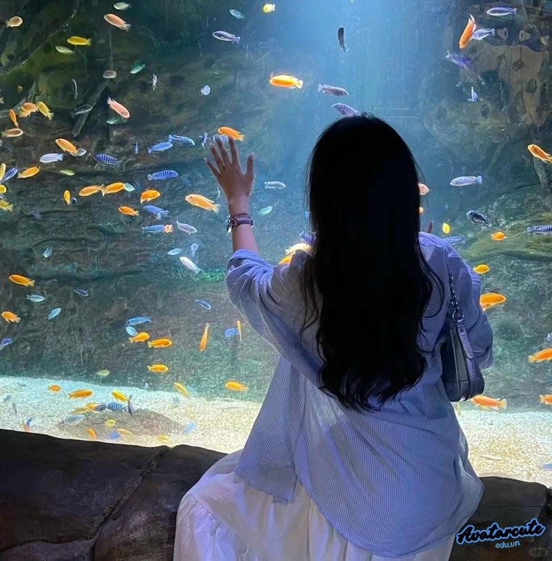 Ảnh mạng avatar facebook hot