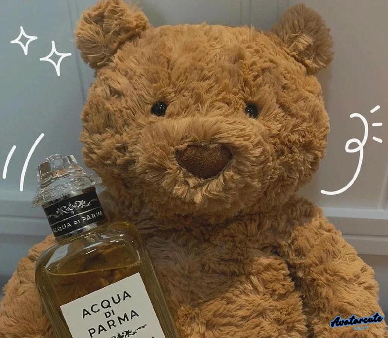 Ảnh mạng avatar gấu dễ mến