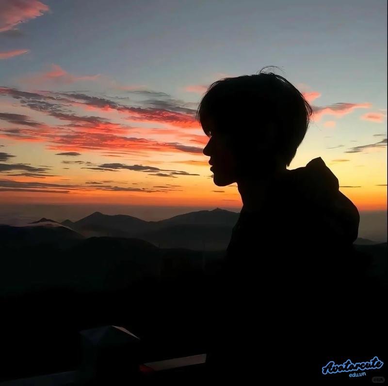 Ảnh mạng avatar hd phong thái nổi bật