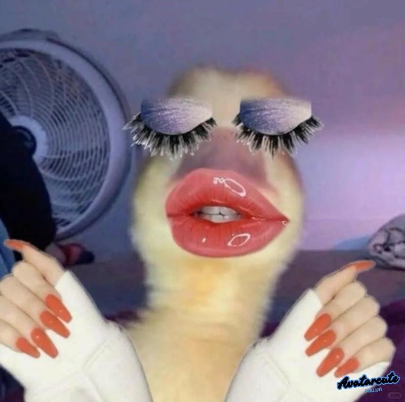 Bộ sưu tập hình avatar độc lạ