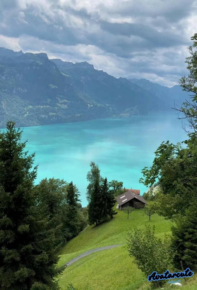 Chụp ảnh avatar cảnh đẹp nghệ thuật