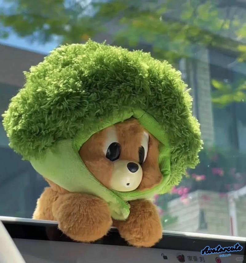 Chụp ảnh avatar hình nền dễ thương