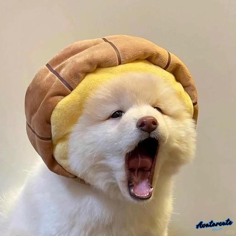 Chụp hình ảnh avatar điện thoại ấn tượng