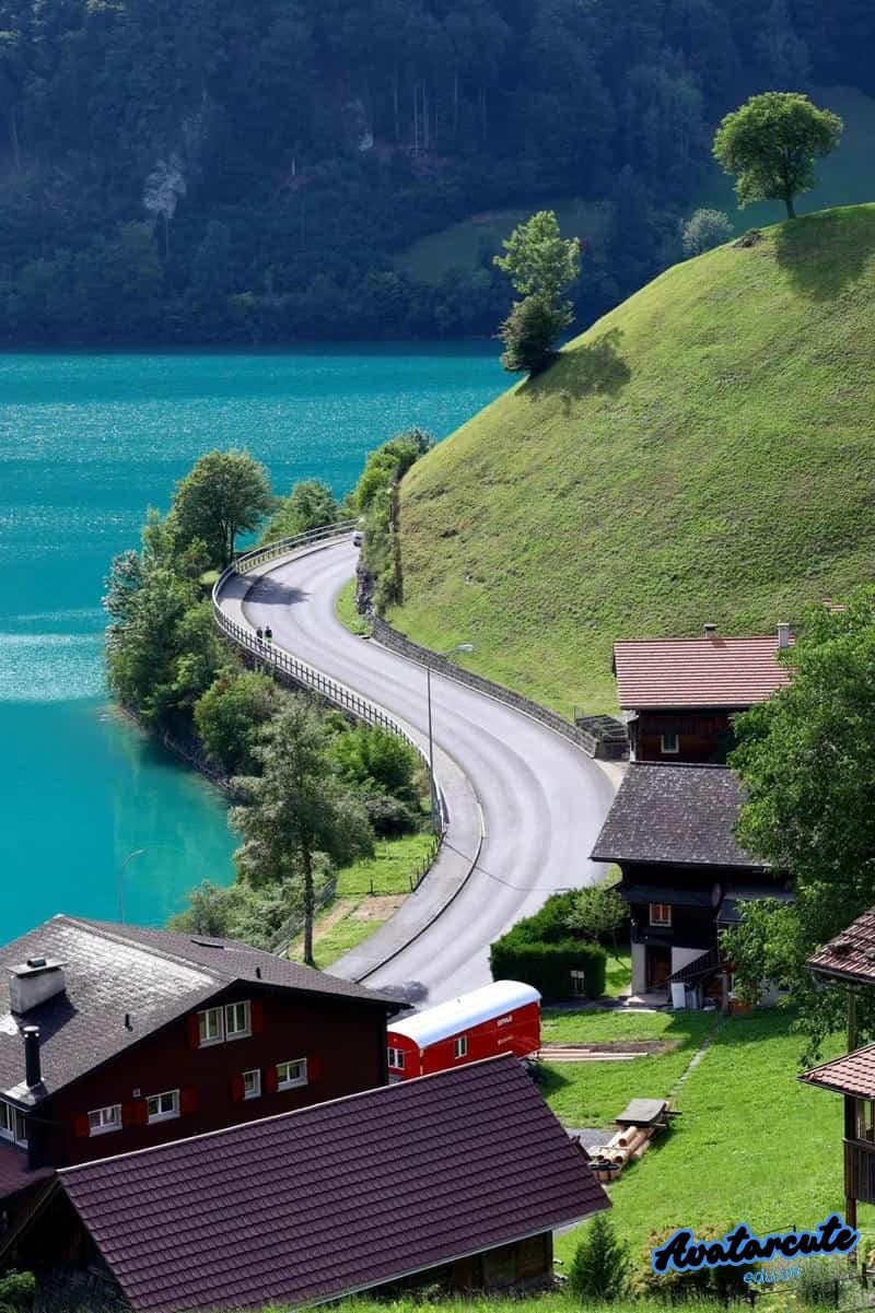 Hình ảnh avatar cảnh đẹp mới