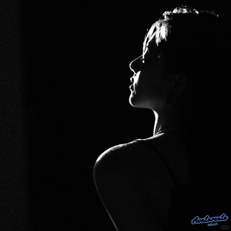 Hình ảnh avatar đen ấn tượng