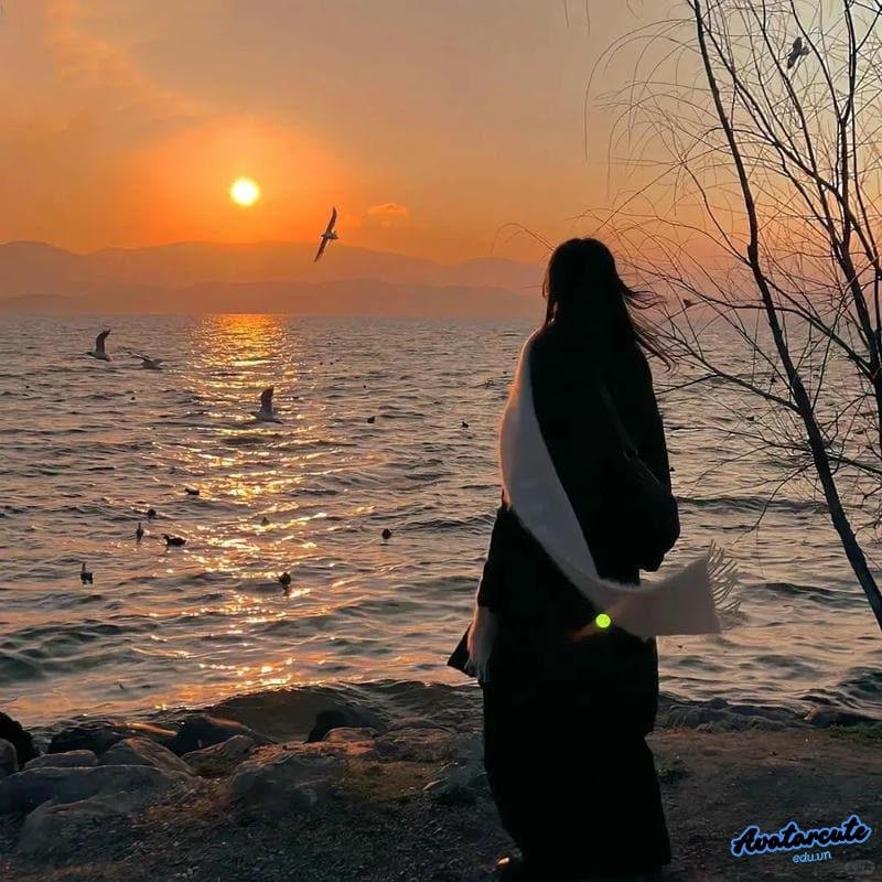 Hình ảnh avatar facebook mới