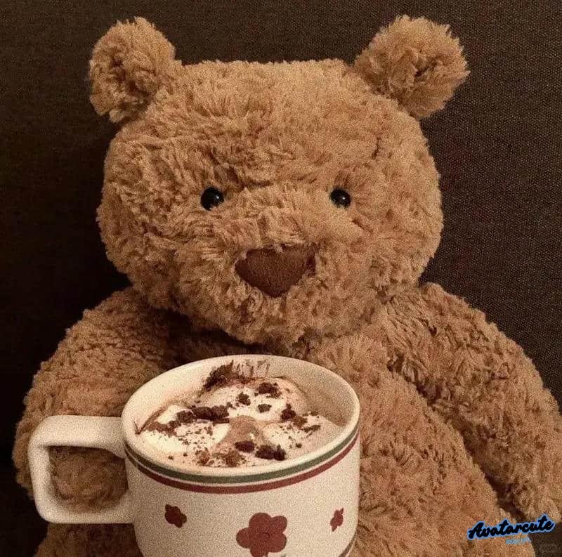 Hình ảnh avatar gấu vui mắt