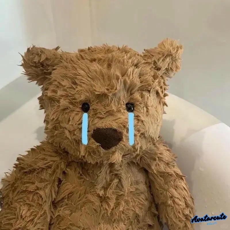 Hình ảnh avatar gấu vui