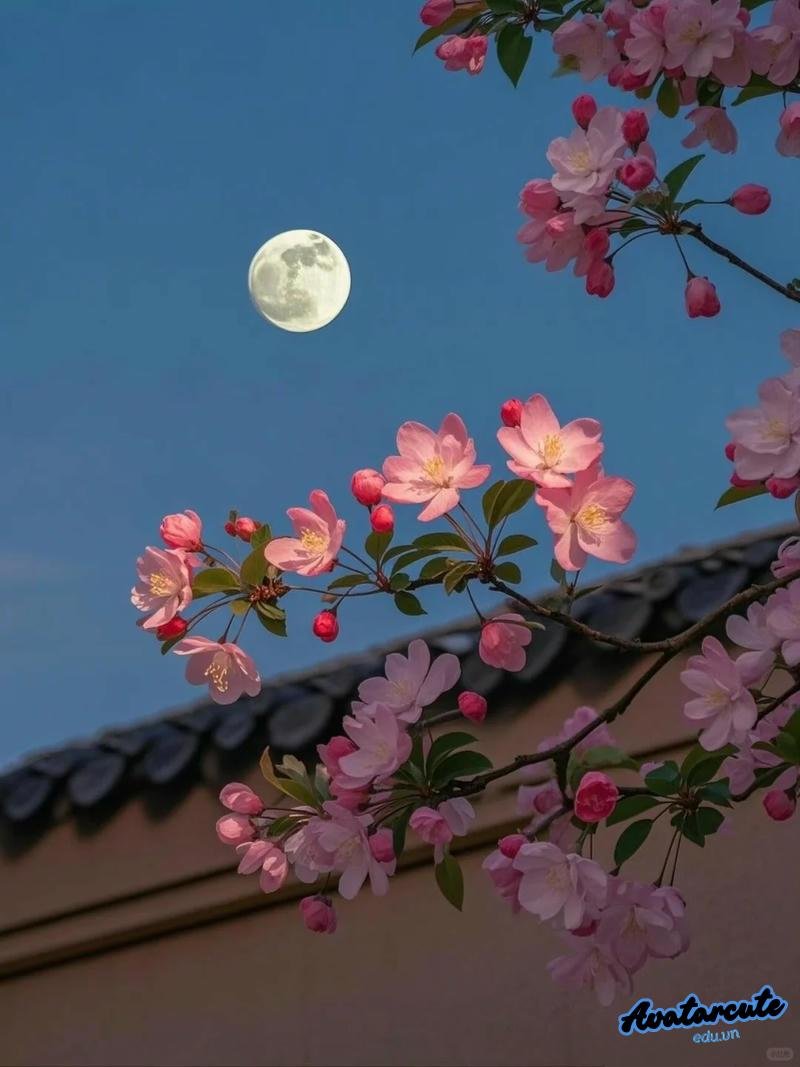 Hình ảnh avatar hoa đầy cảm hứng