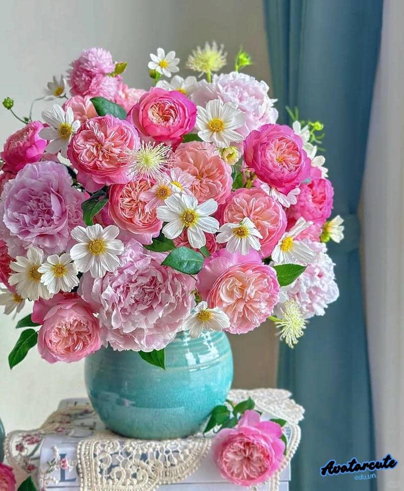 Hình nền avatar hoa rạng rỡ