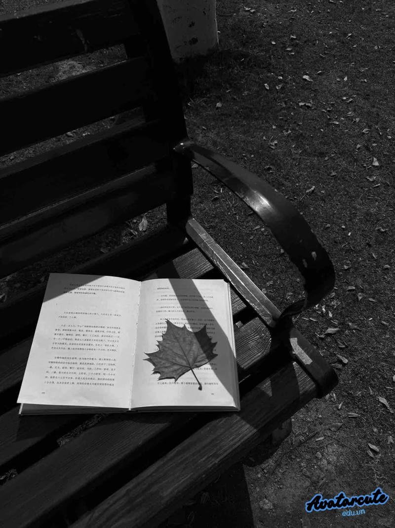 Loạt ảnh avatar đen đa sắc thái