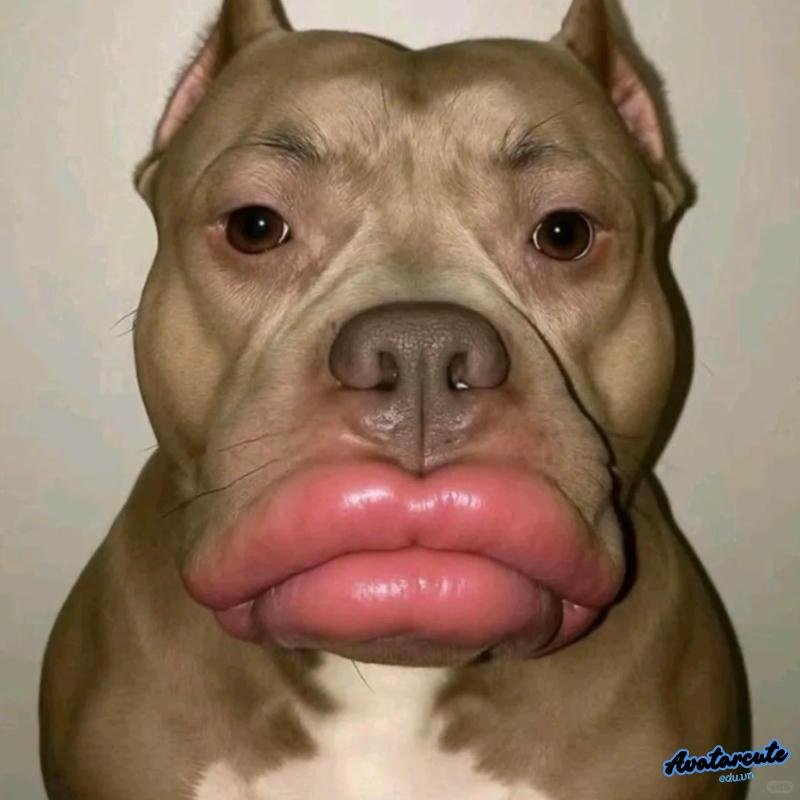 Loạt hình ảnh avatar độc lạ ấn tượng