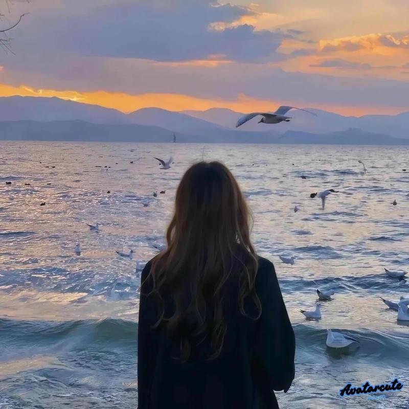 Loạt hình avatar hd nổi bật