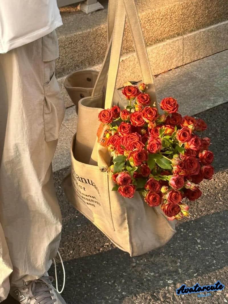 Ngắm ảnh avatar hoa tự nhiên