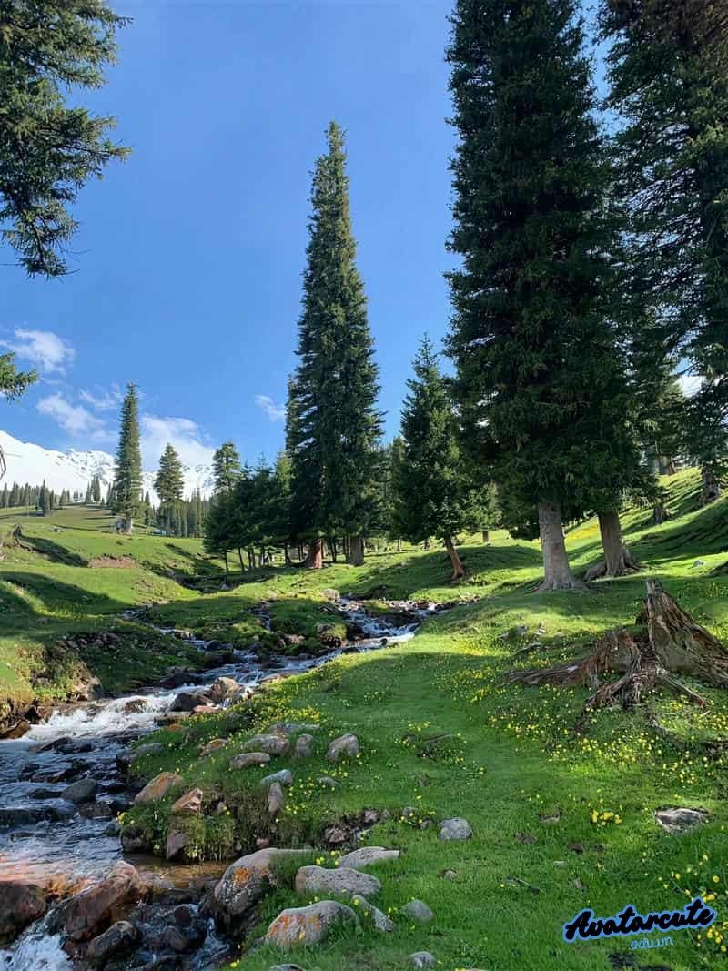 Tải ảnh avatar cảnh đẹp chill