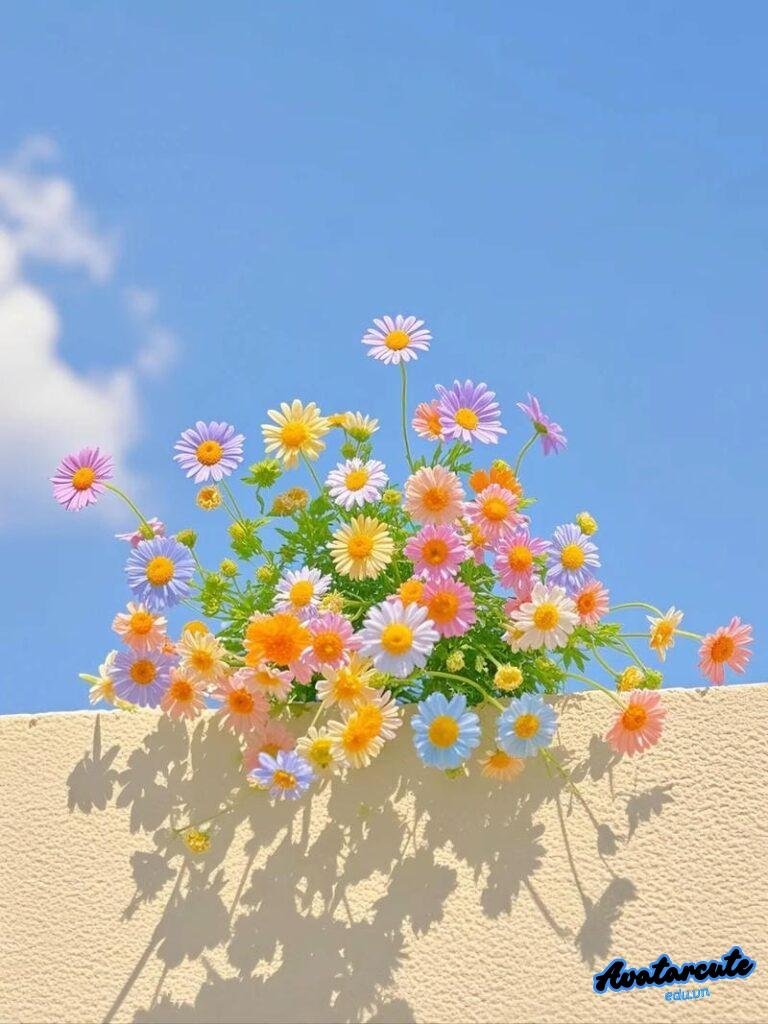 Tải hình avatar hoa ấn tượng