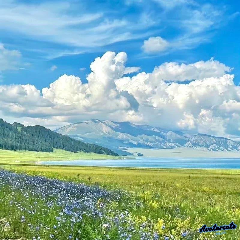 Xem ảnh avatar cảnh đẹp nhẹ nhàng