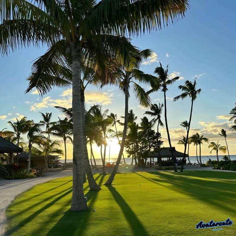 Xem hình ảnh avatar cảnh đẹp