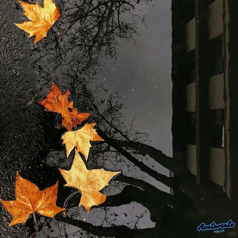 Xem hình ảnh avatar đen mạnh mẽ