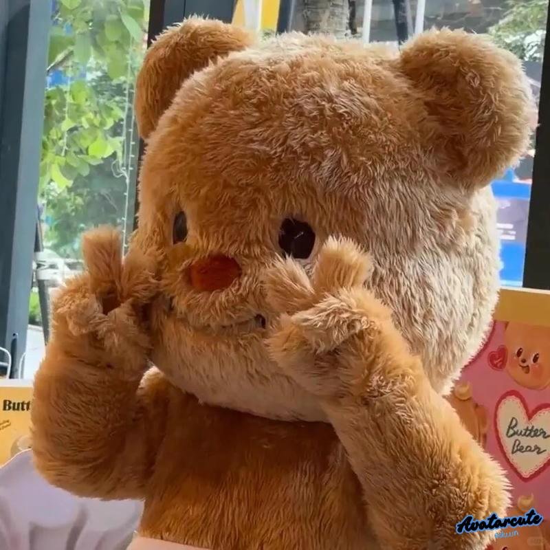 Xem hình ảnh avatar gấu sống động