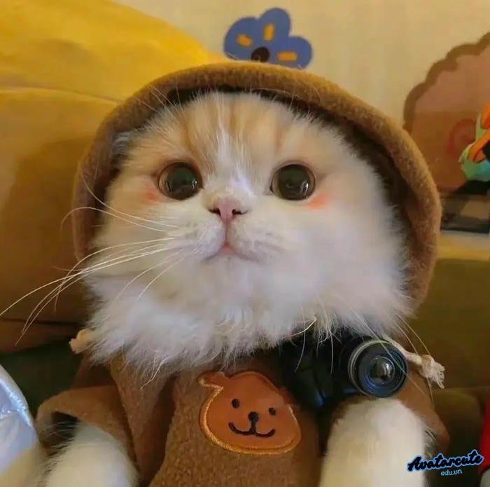 ảnh avatar instagram hd