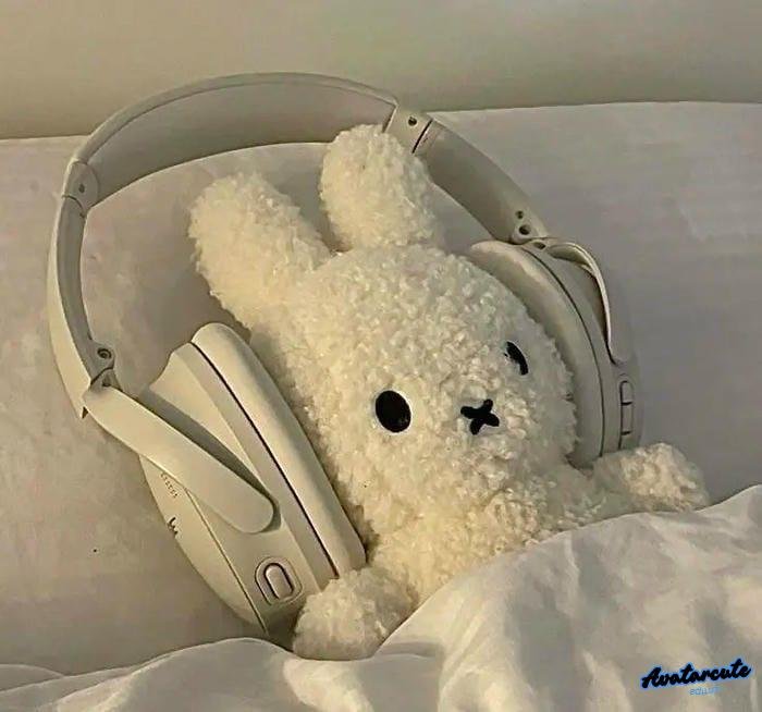 ảnh avatar instagram tối giản