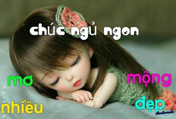 ảnh chúc ngủ ngon meme