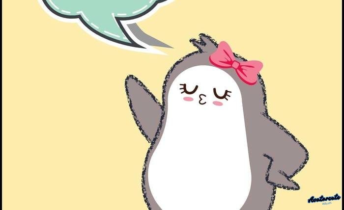 ảnh đại diện chim cánh cụt dễ thương