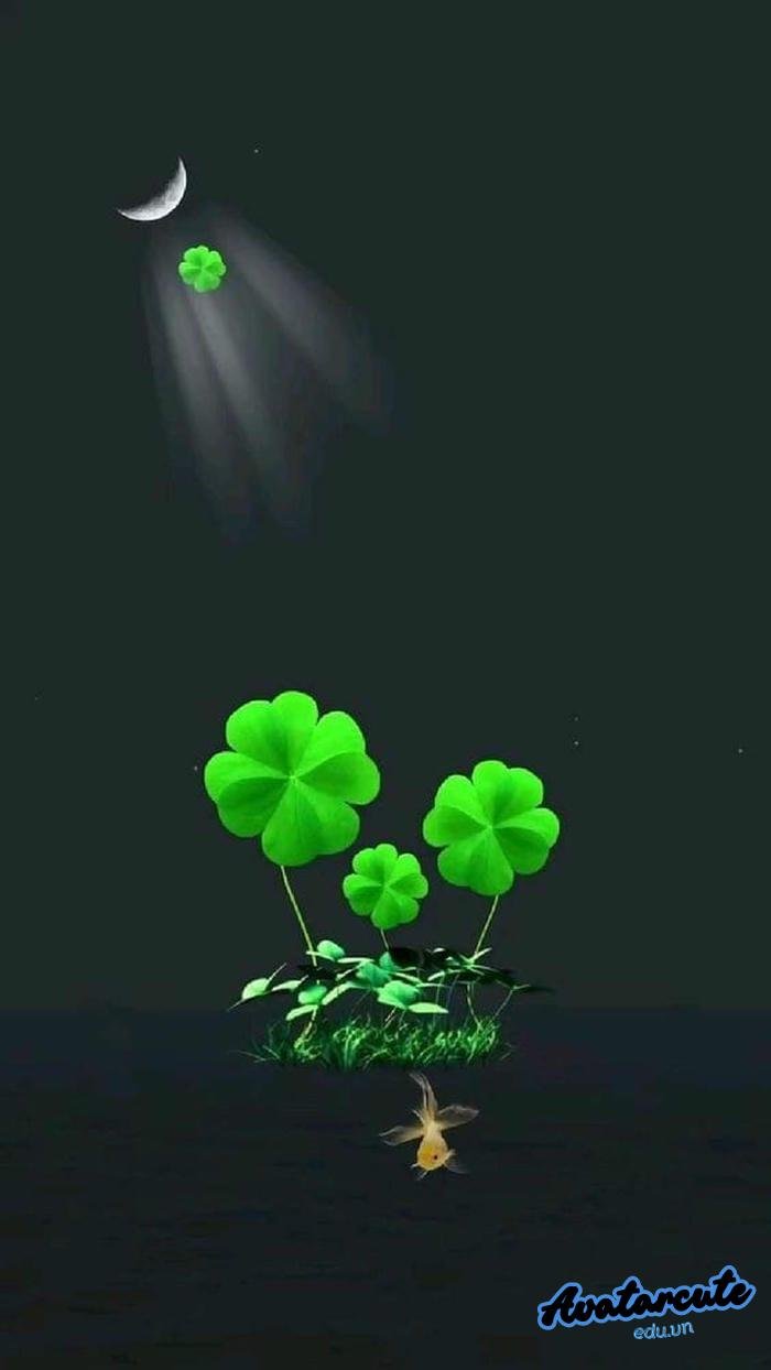 ảnh đại diện cỏ 4 lá với ánh nắng