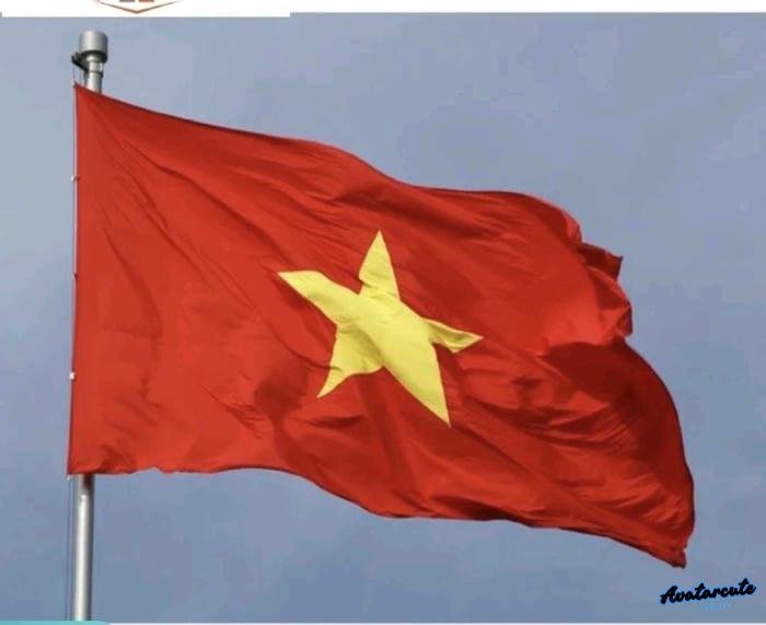 ảnh đại diện cô gái tự vẽ