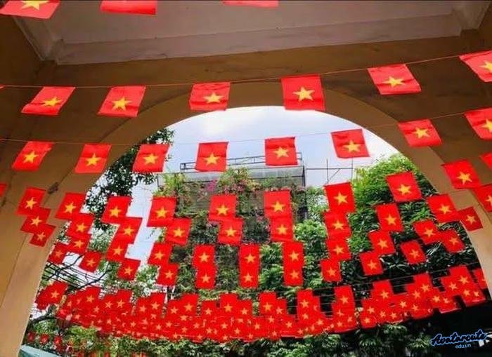 ảnh đại diện cờ việt nam 3d