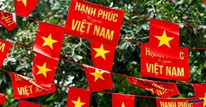 ảnh đại diện cờ việt nam ấn tượng