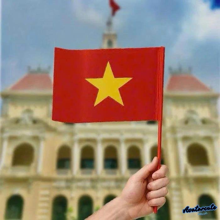 ảnh đại diện cờ việt nam cho học sinh
