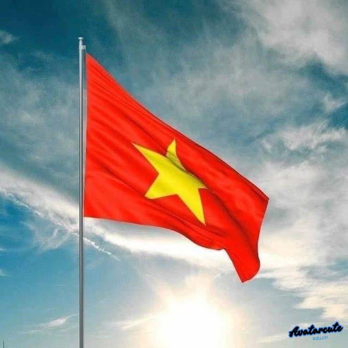 ảnh đại diện cờ việt nam đỏ vàng