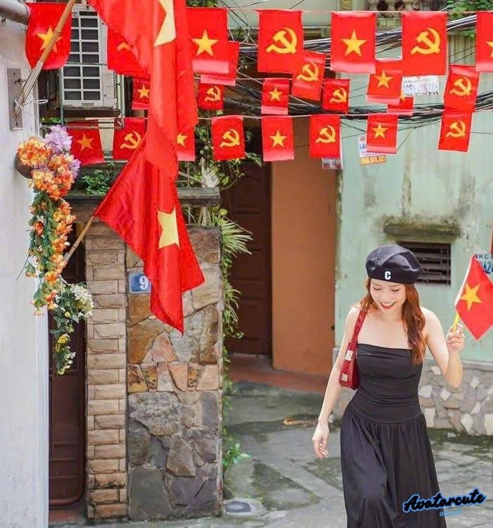 ảnh đại diện cờ việt nam đơn giản