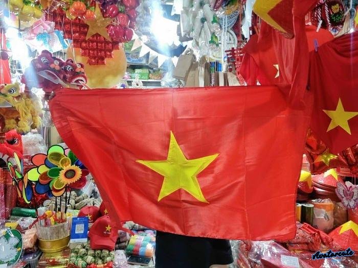 ảnh đại diện cờ việt nam vector