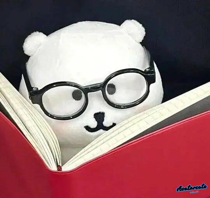 ảnh đại diện học online buổi sáng