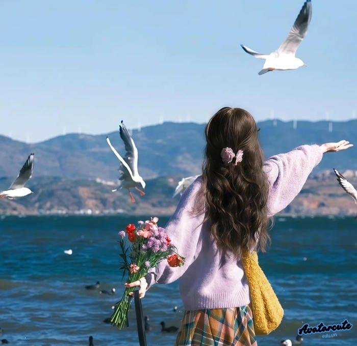 ảnh đại diện và đồ họa