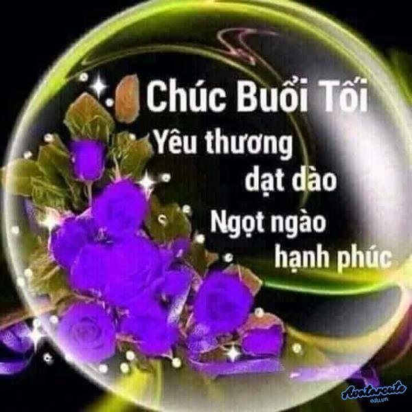 anh hinh meme chúc ngủ ngon